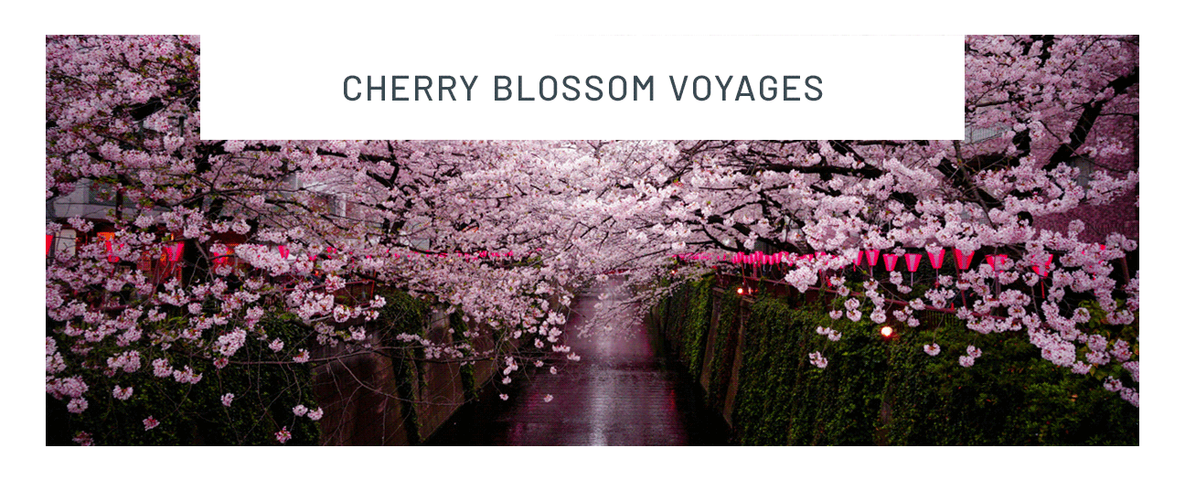 Cherry blossom voyages