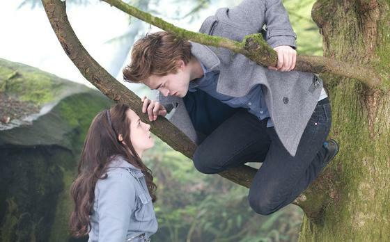 TWILIGHT Fan Screening