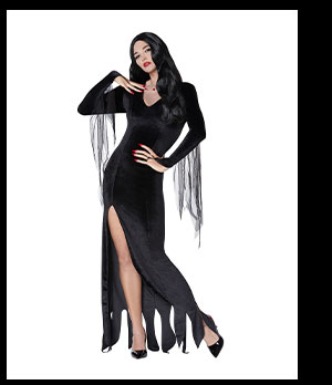 Adult Morticia Addams Costume - The Addams Family