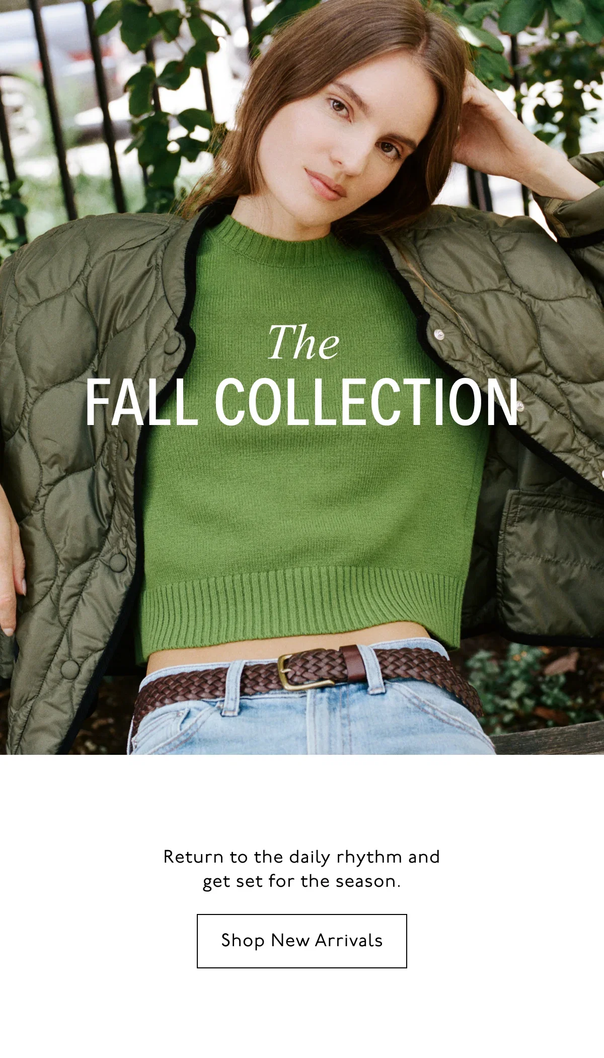 Fall collection