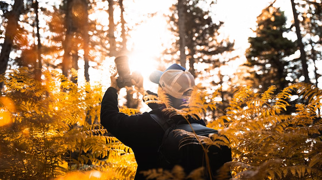 Person photographing the fall colors