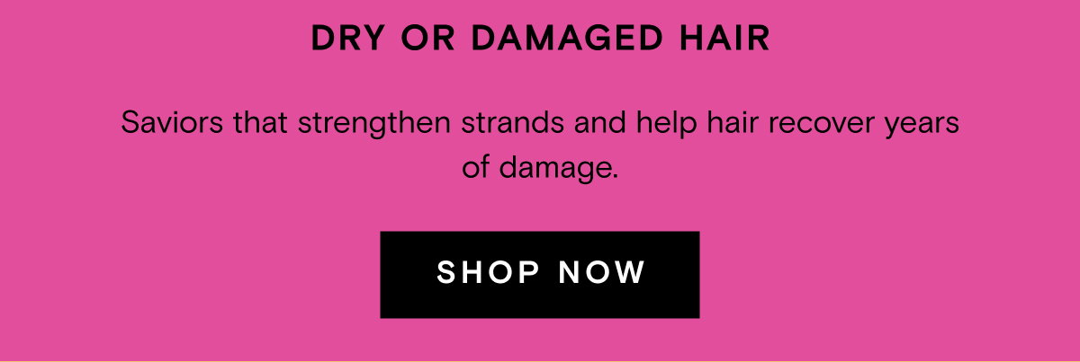 DRY OR DAMAGED HAIR Saviors that strengthen strands and help hair recover years of damage. SHOP NOW