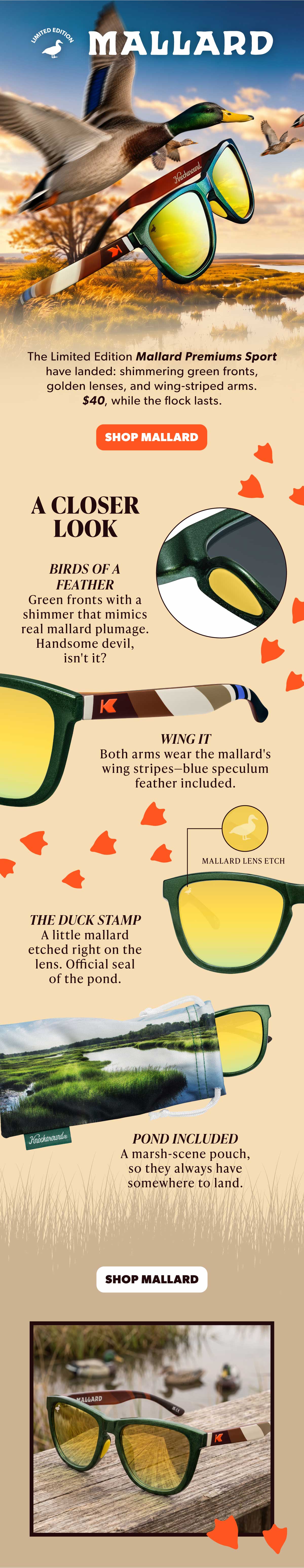 Week 36 - Mallard LE