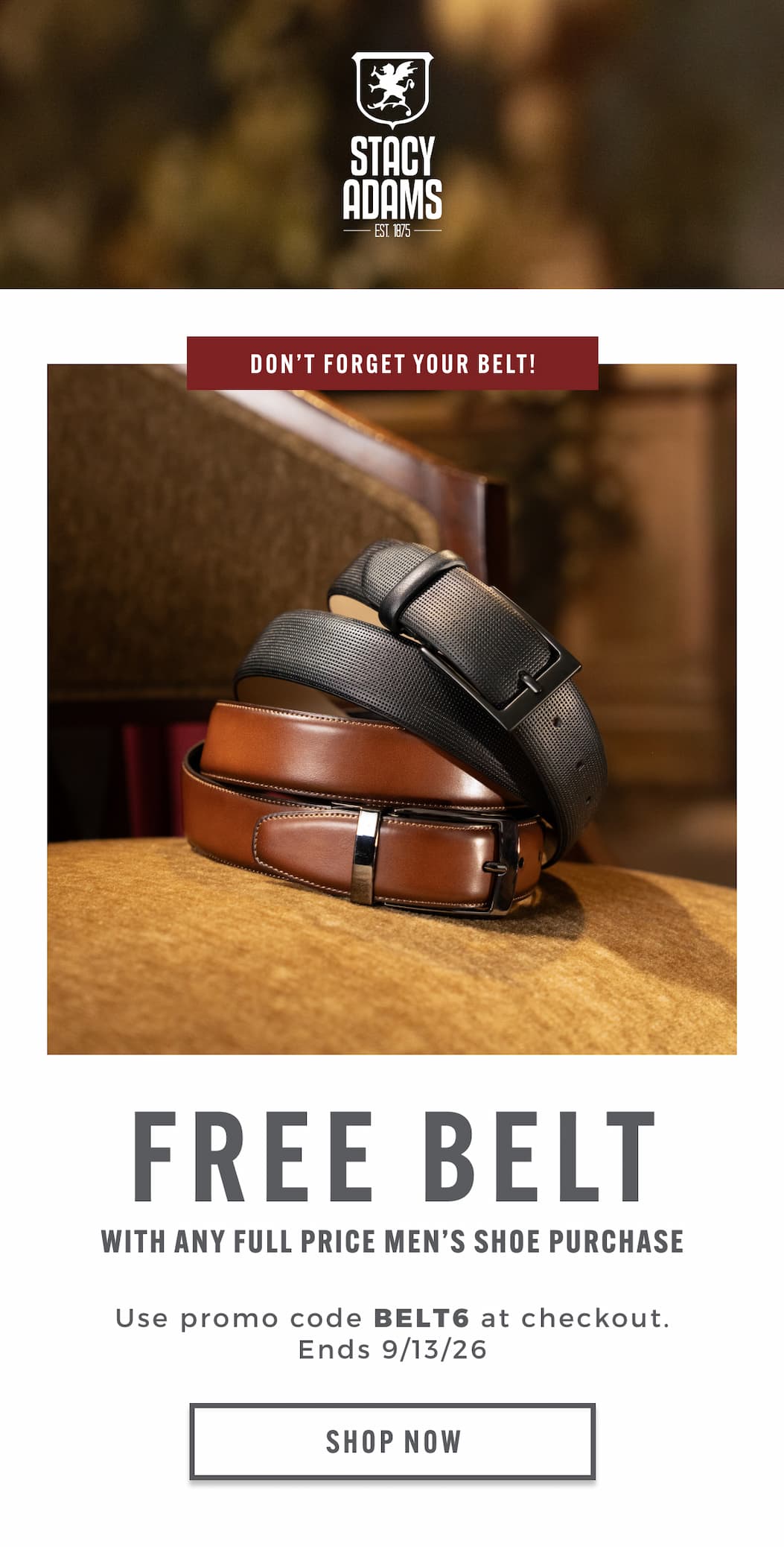 Free belt with any full men's shoe purchase. Use promo code BELT6. Display images to learn more.