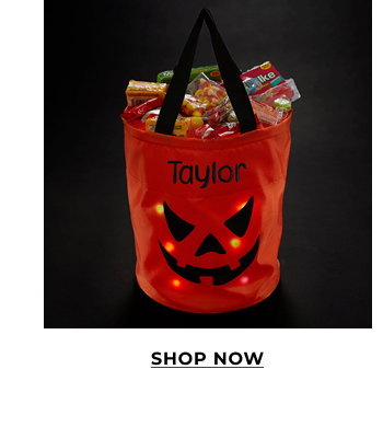 Embroidered Collapsible Pumpkin Light Up Treat Bag