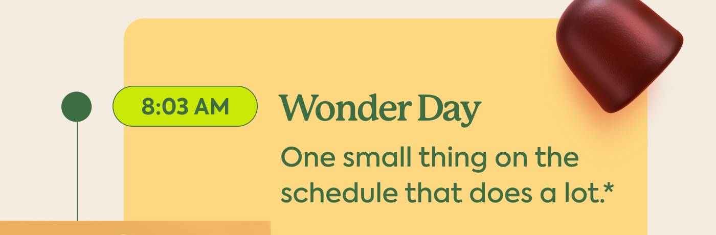 8:03 AM: Wonder Day One small thing on the schedule that does a lot.*