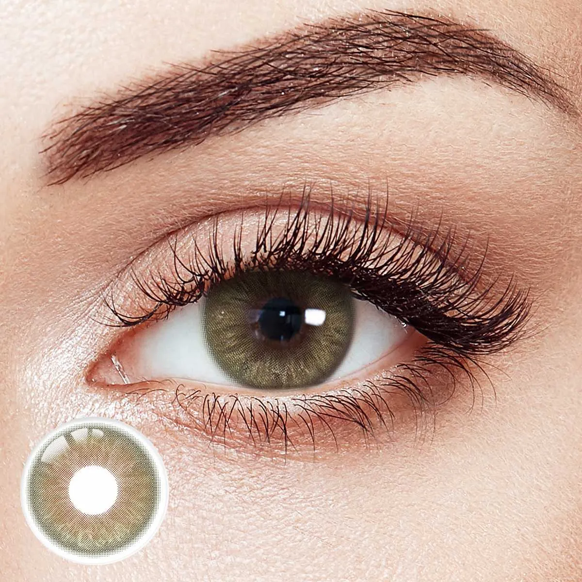 Sage Whisper Green 6 Month Contact Lenses | 2 Pcs