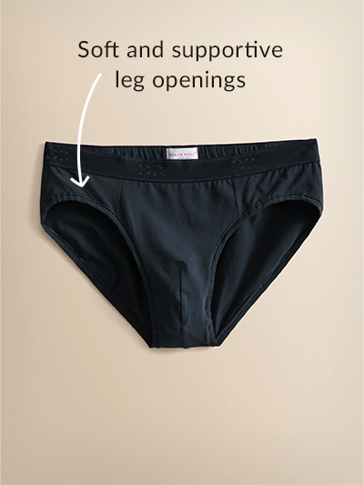 Briefs