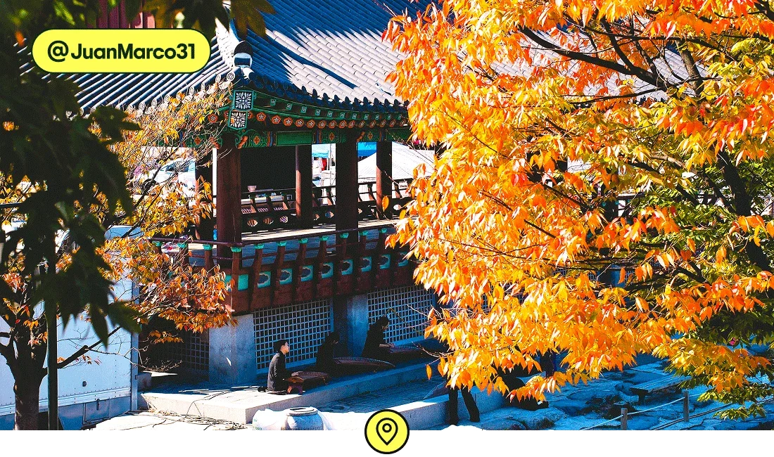 Image description: People sitting outside a temple with fall foliage in Seoul, photo taken by @JuanMarco31