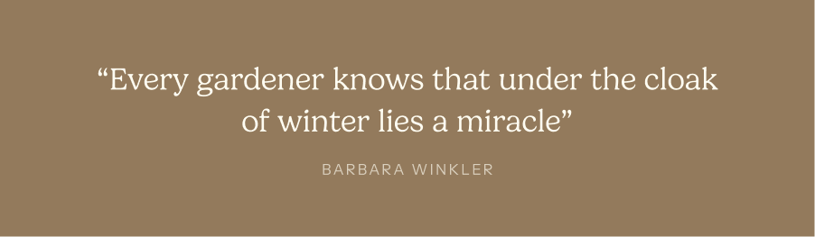 “Every gardener knows that under the cloak of winter lies a miracle”