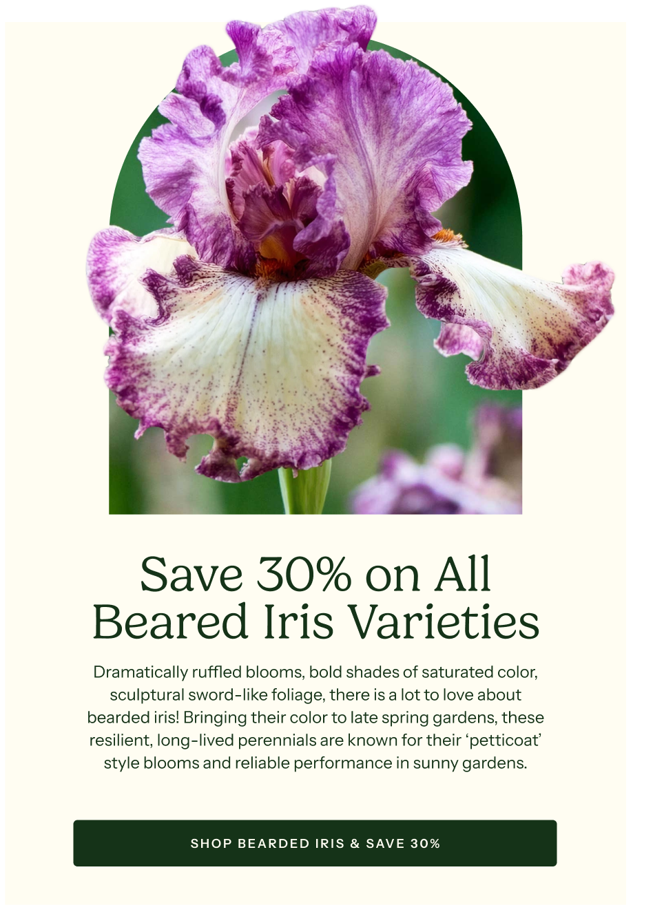 Save 30% on All Bearded Iris Varieties