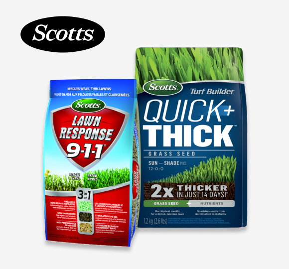 SAVE 25%* All SCOTTS Grass Seeds
