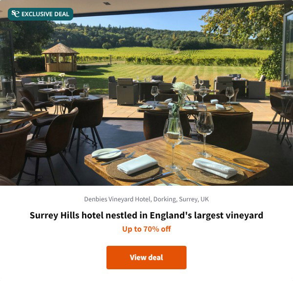 Surrey Hills hotel nestled in England's largest vineyard