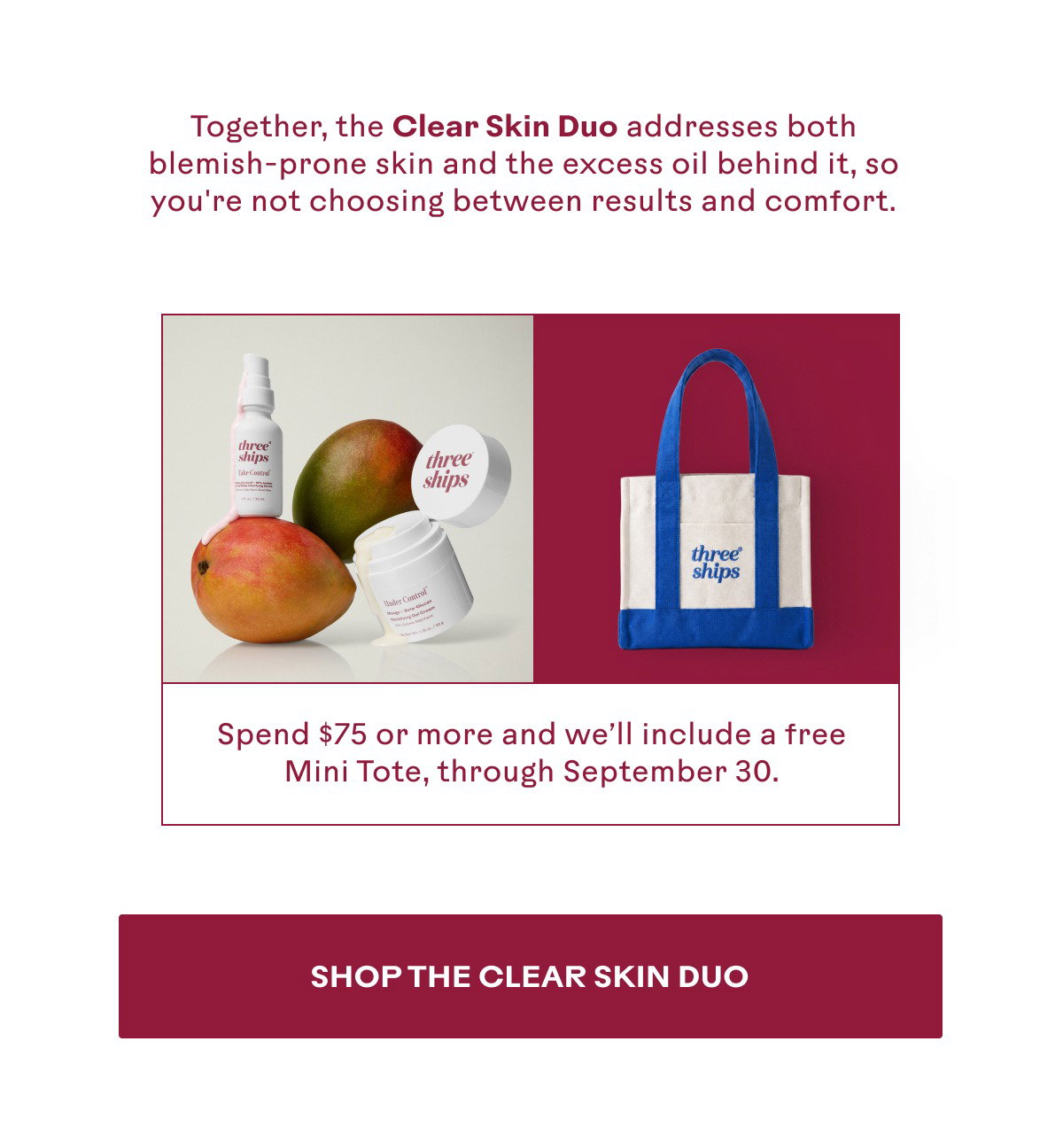 Shop the Clear Skin Duo