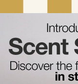 Introducing Scent Studio | Discover the full collection in store