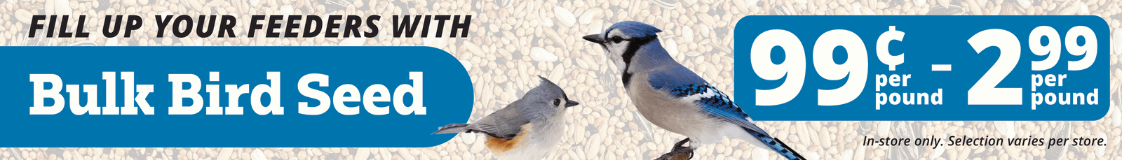Bulk Bird Seed