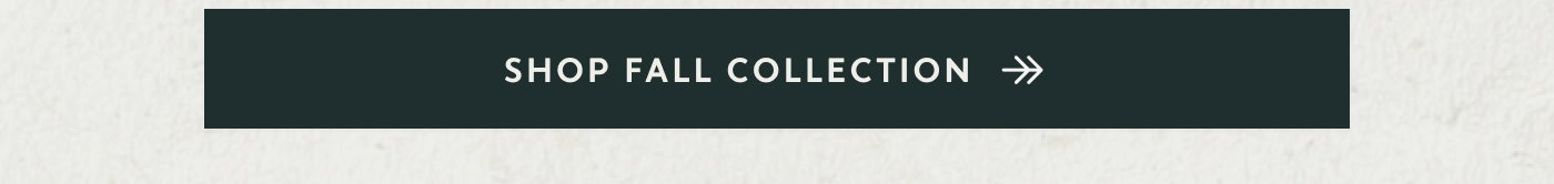 Shop Fall Collection