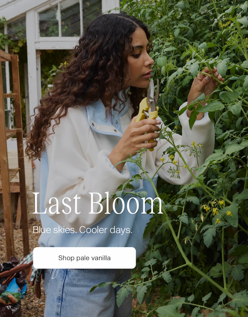 Last Bloom has arrived