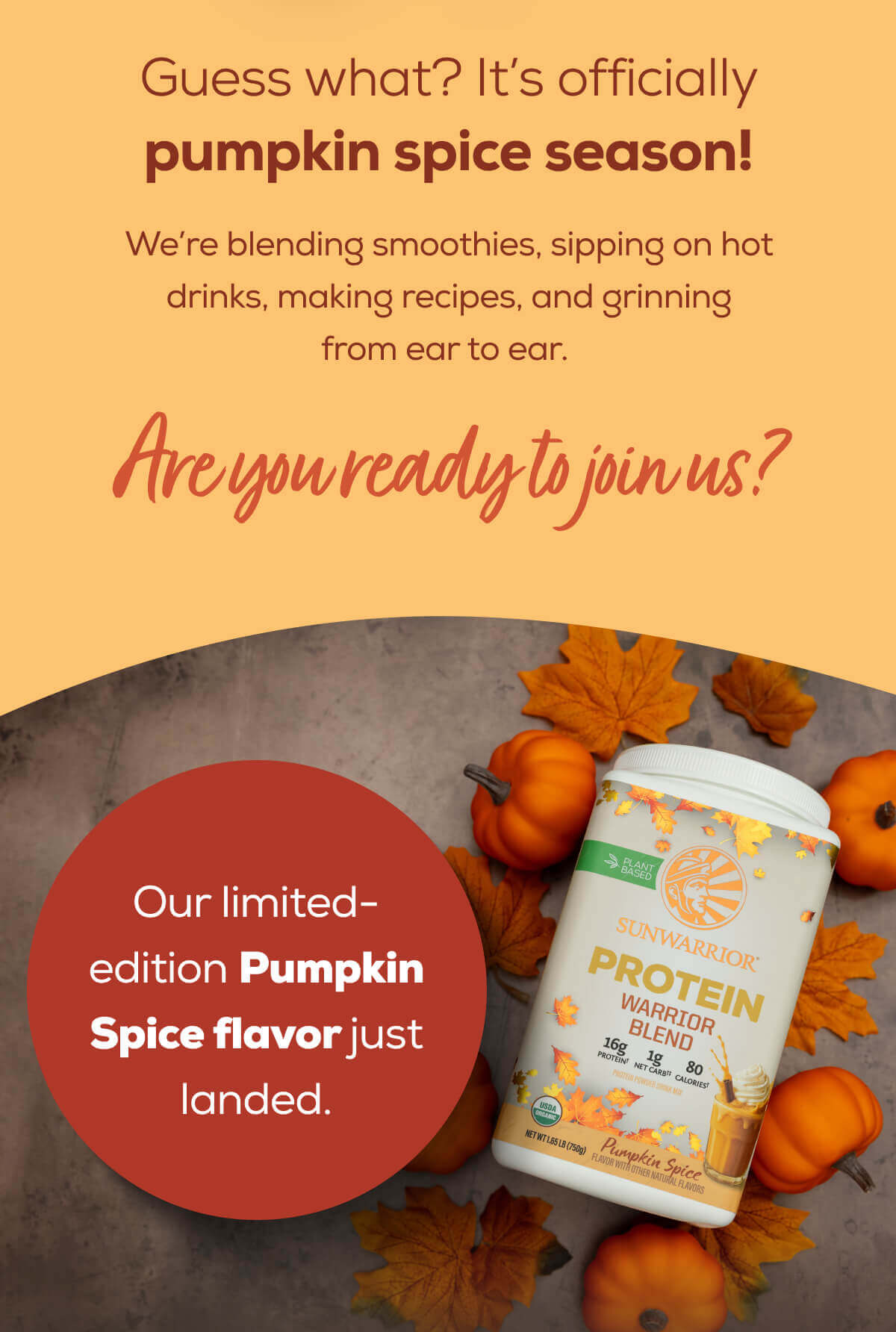 Guess what? It’s officially pumpkin spice season!  We’re blending smoothies, sipping on hot drinks, making recipes, and grinning from ear to ear.   Are you ready to join us? Our limited-edition Pumpkin Spice flavor just landed.