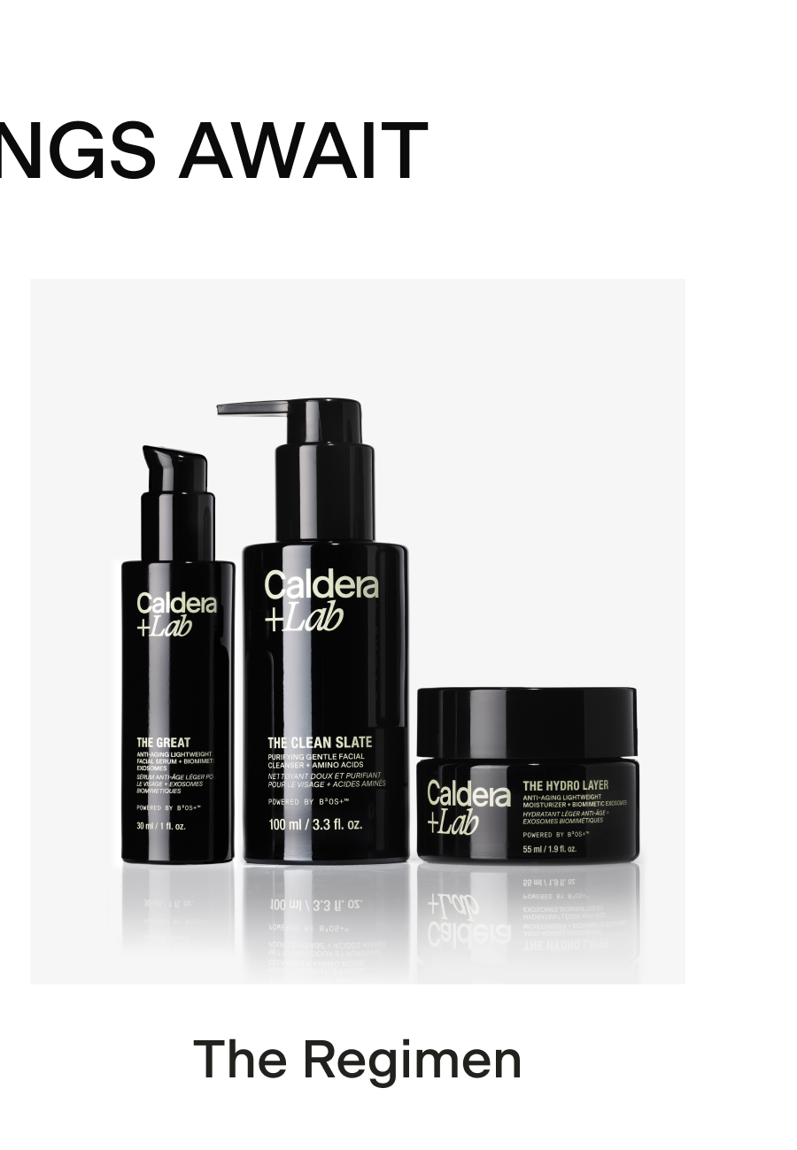 THE REGIMEN