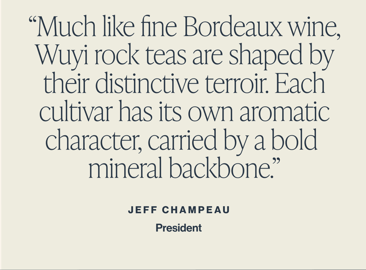 Wuyi Rock Tea
