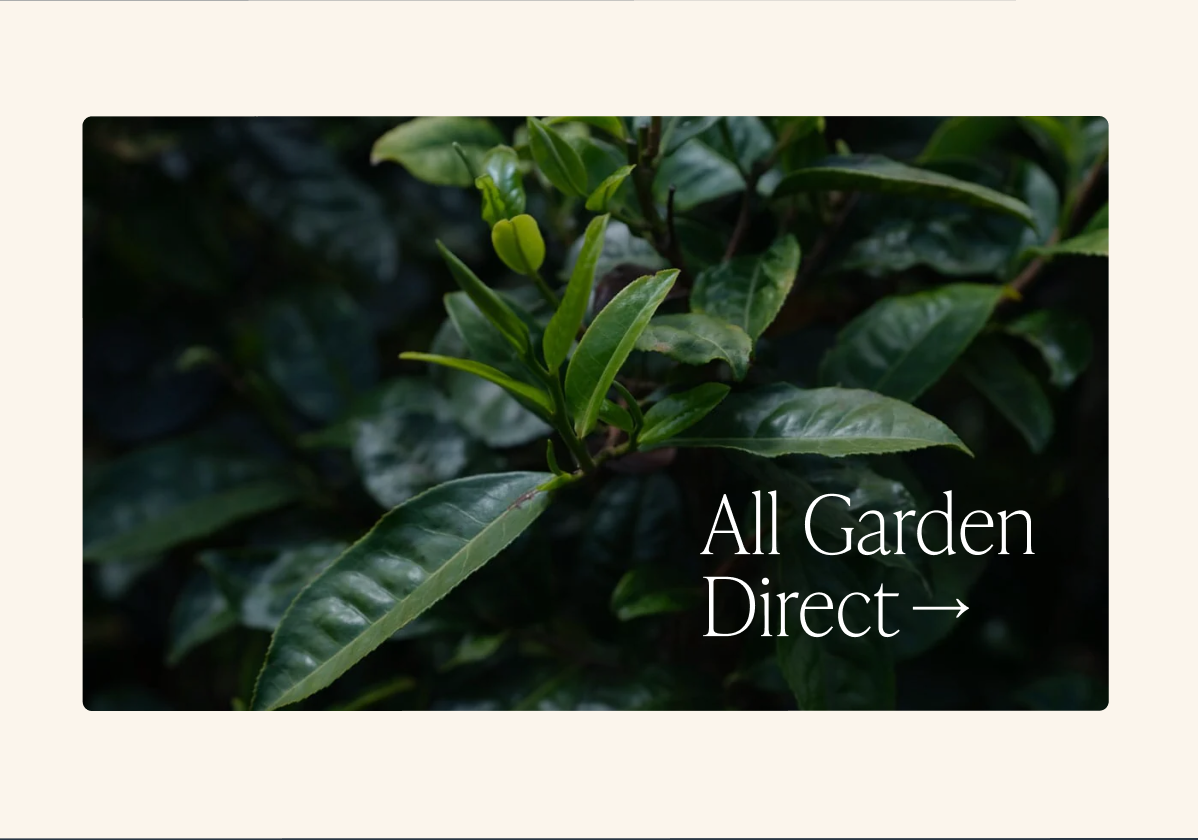 Shop All Garden Direct