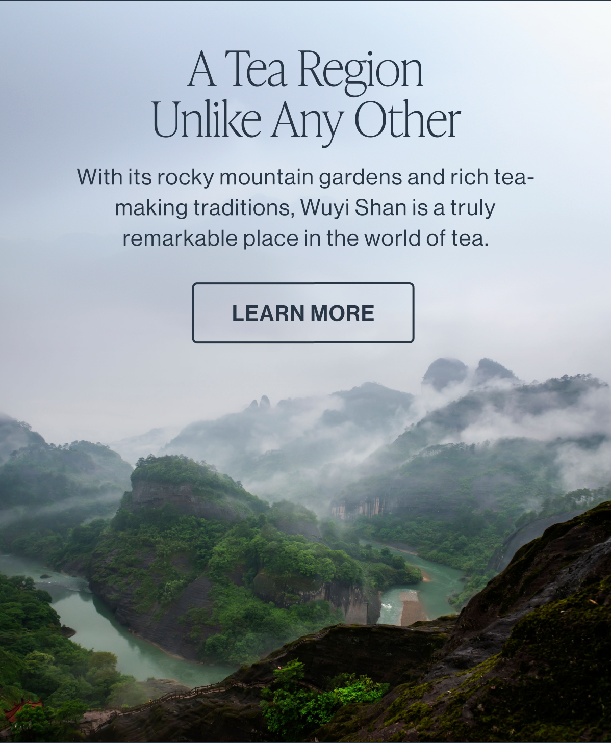 A Tea Region Unlike Any Other