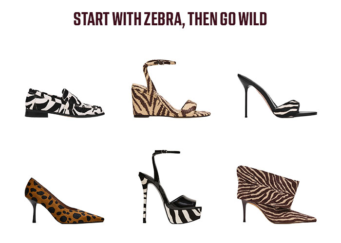 Start with zebra, then go wild