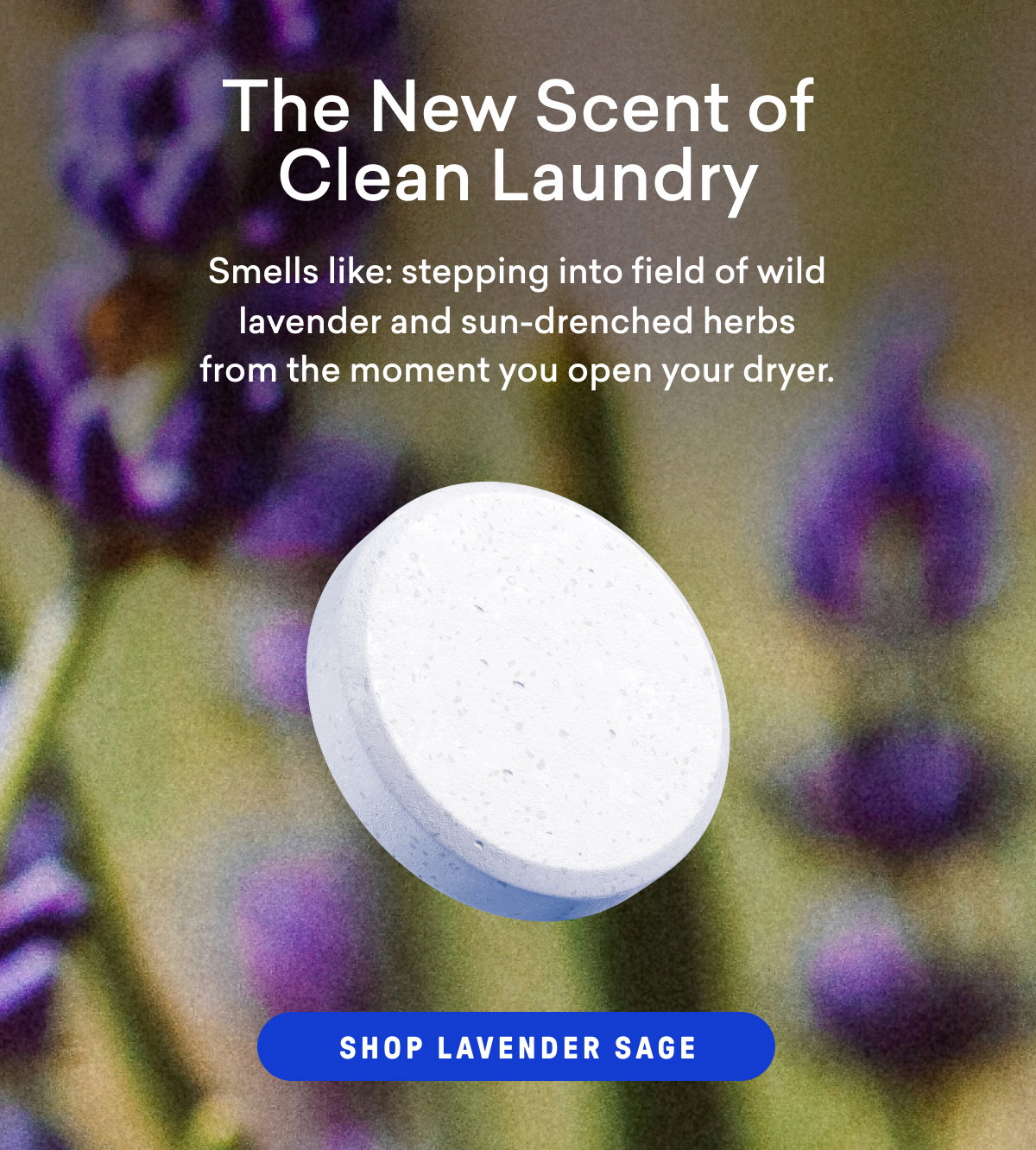 Meet: Lavender Sage Laundry Detergent Tablets.