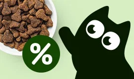Main Banner