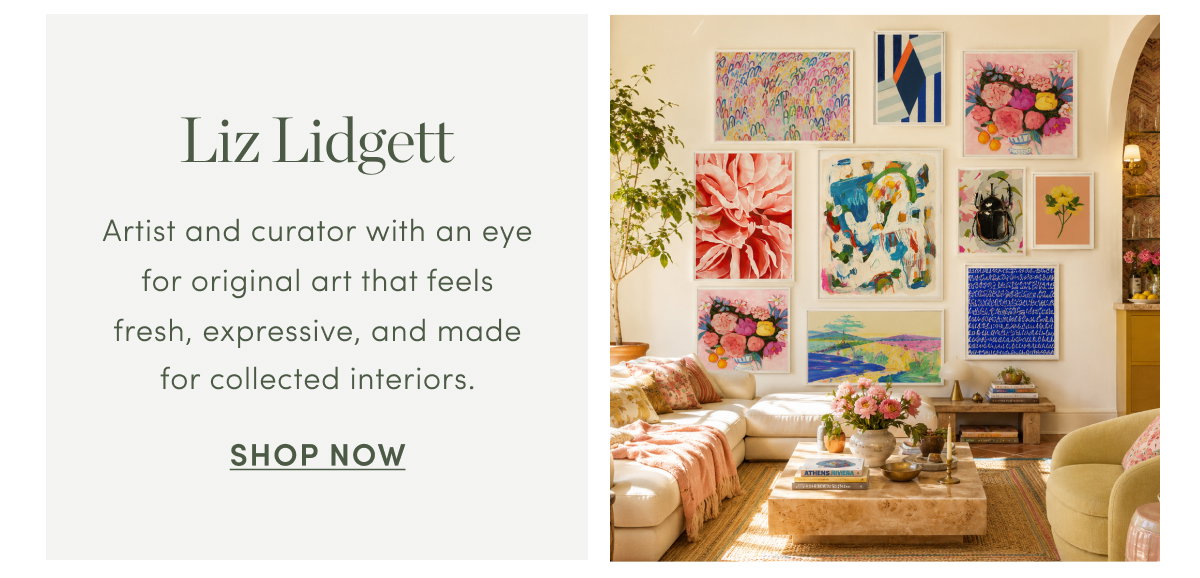 Shop Liz Lidgett