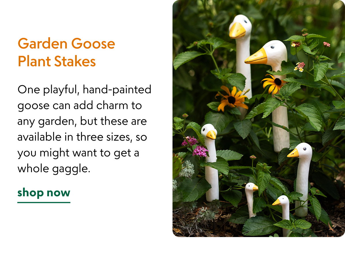 garden-goose-plant-stakes