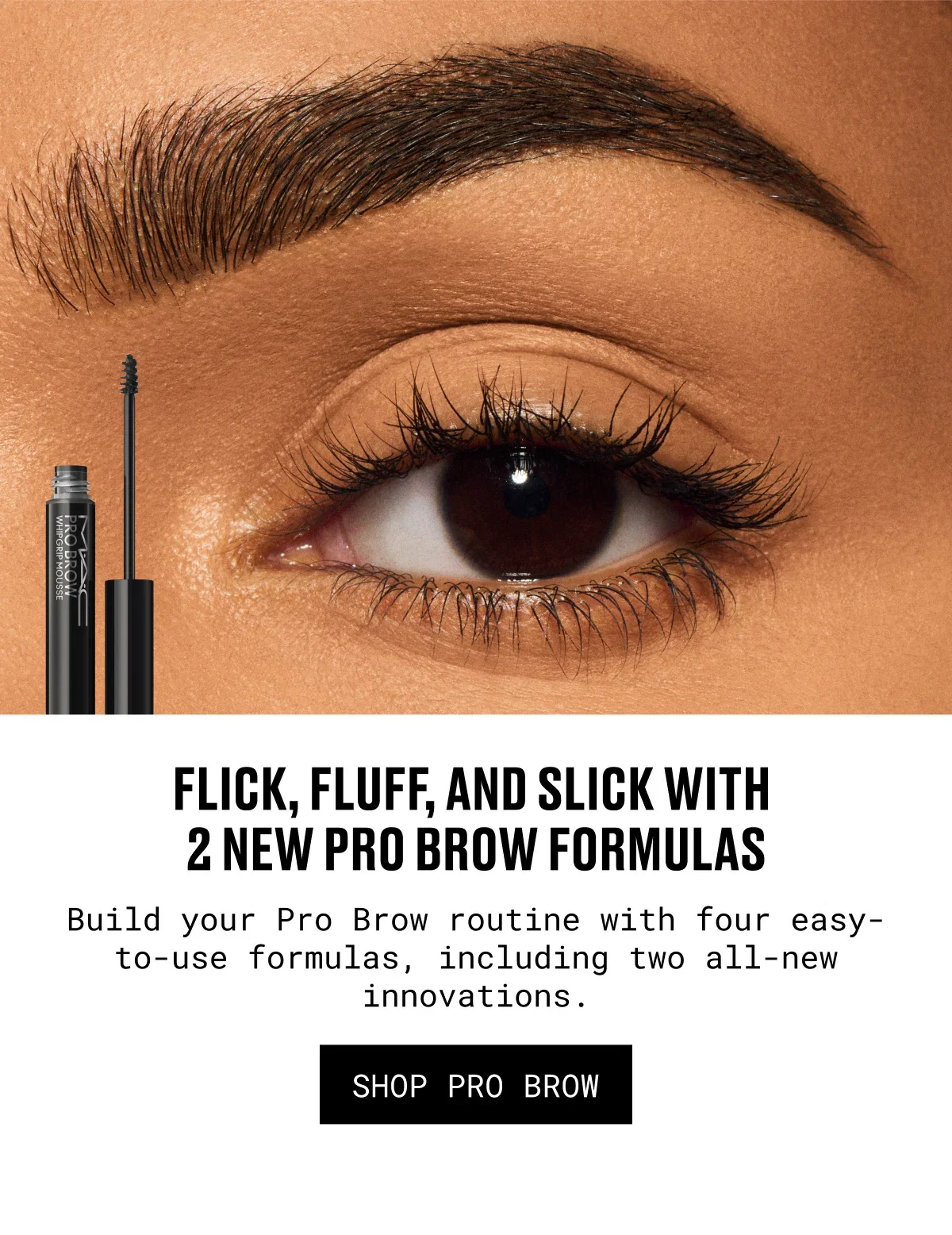 FLICK, FLUFF, AND SLICK WITH 2 NEW PRO BROW FORMULAS | Build your Pro Brow routine with four easy-to-use formulas, including two all-new innovations. | SHOP PRO BROW