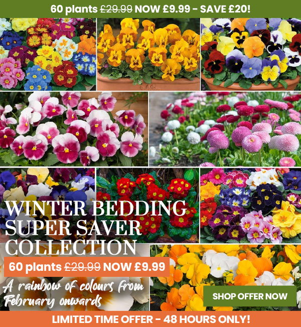 Winter Bedding Super Saver Collection