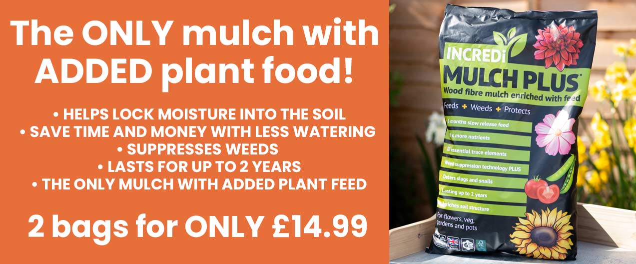 Heatwave help for your garden