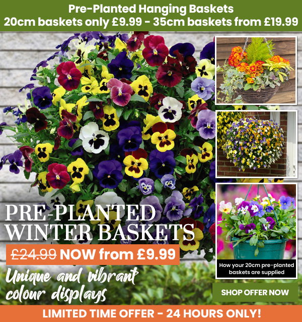 Mix & Match Baskets