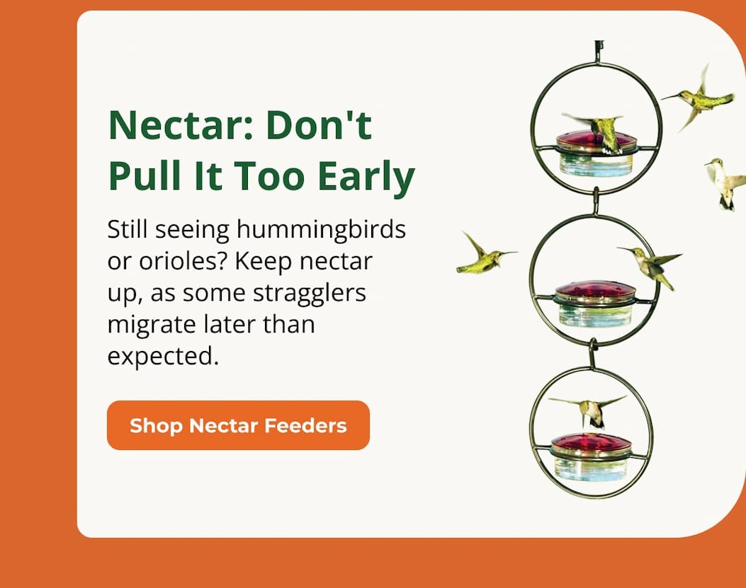 Nectar: Don't Pull It Too Early