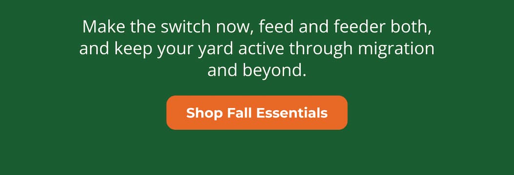 Make the switch now, feed and feeder both, and keep your yard active through migration and beyond.