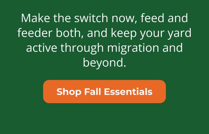 Make the switch now, feed and feeder both, and keep your yard active through migration and beyond.