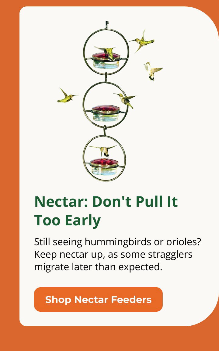 Nectar: Don't Pull It Too Early Still seeing hummingbirds or orioles? Keep nectar up, some stragglers migrate later than expected.