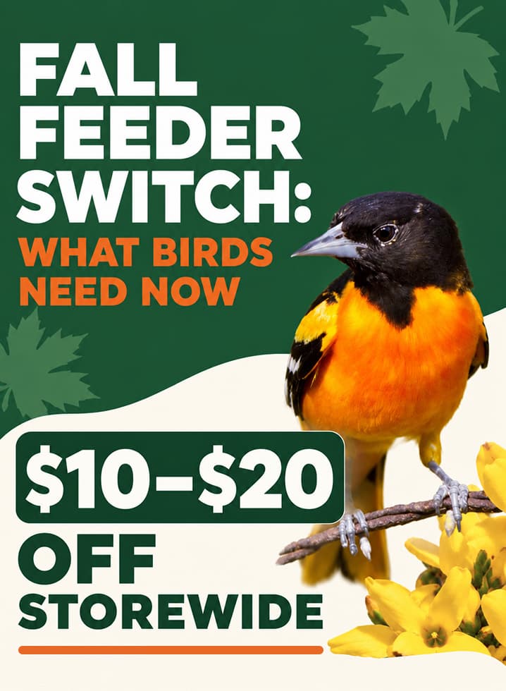 Fall Feeder Switch: What Birds Need Now $10–$20 Off Storewide