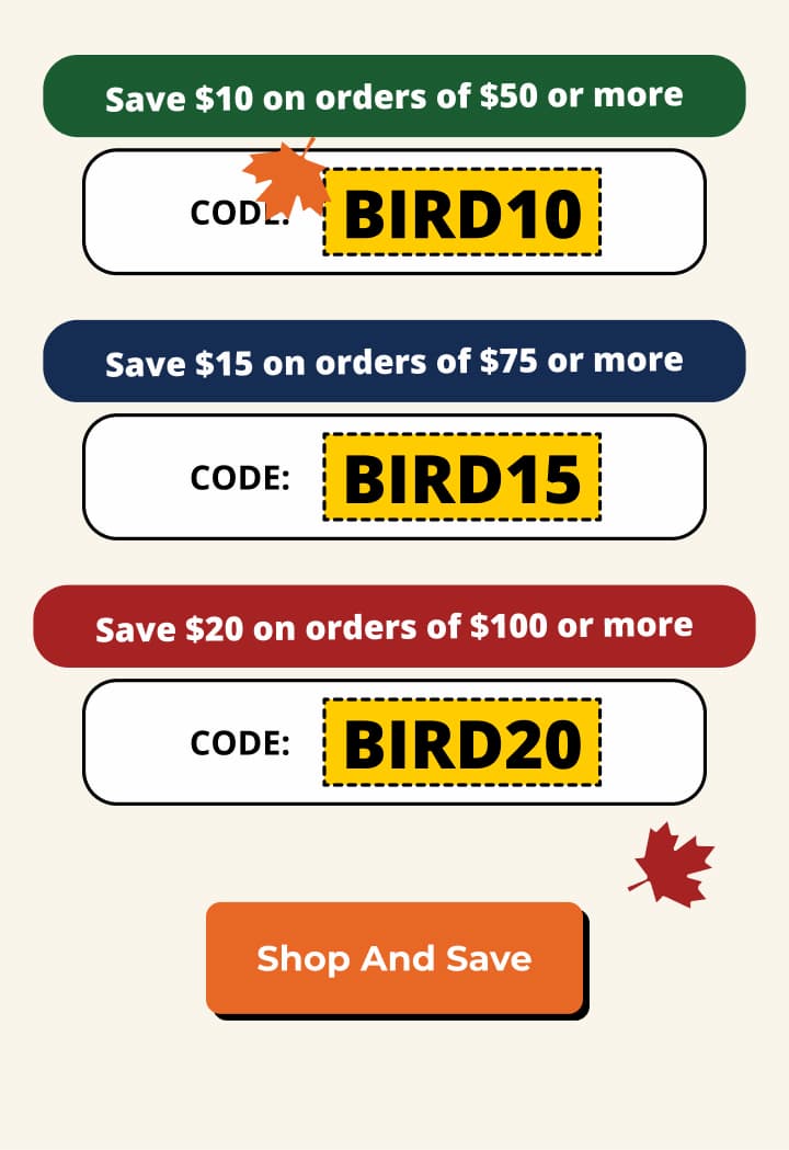 Shop And Save