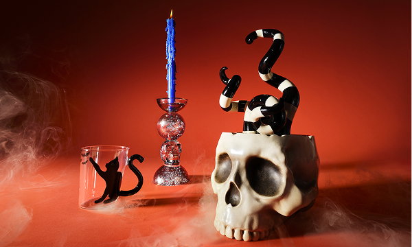 Halloween skull with black-and-white snakes, a candle and a glass cat mug on an orange background with cobwebs.