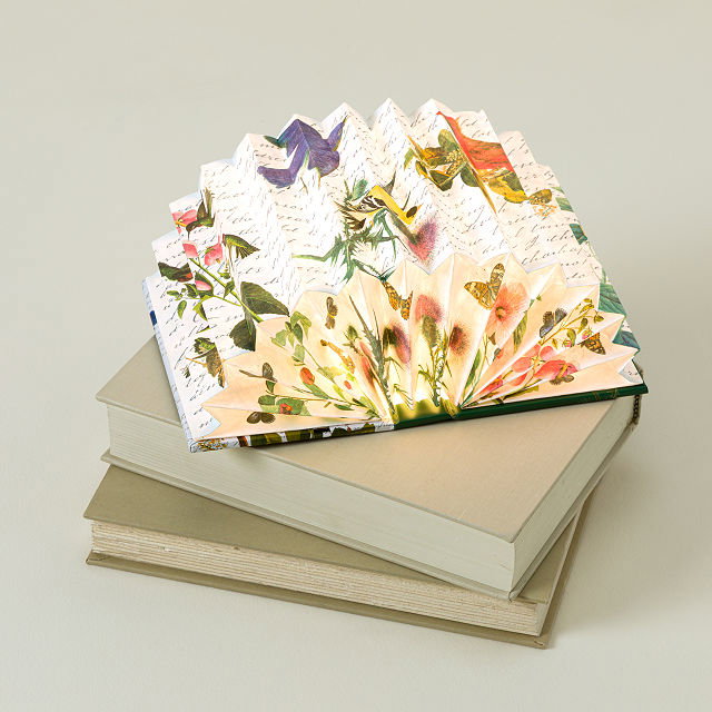 Audubon Birds Accordion Book Light