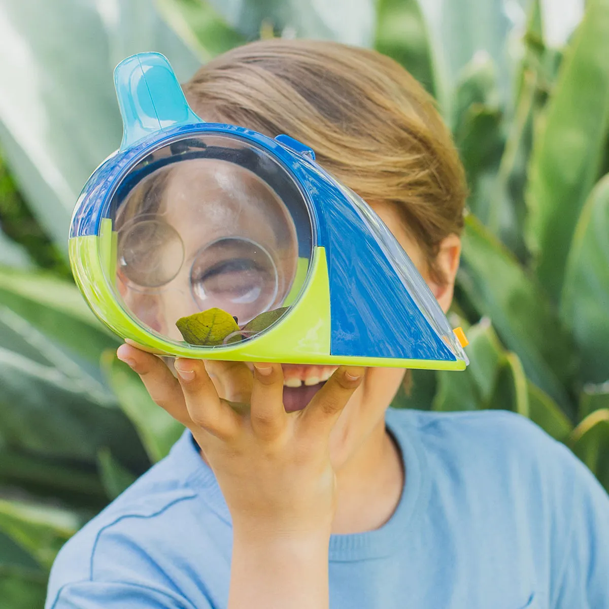 Bug Safe Bugservatory