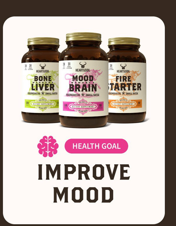 BONE MARROW LIVER / MOOD MEMORY BRAIN / FIRE STARTER HEALTH GOAL IMPROVE MOOD