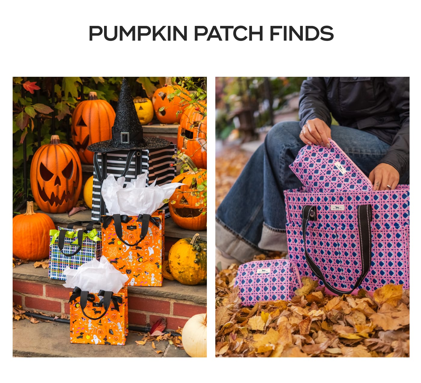 PUMPKIN PATCH FINDS