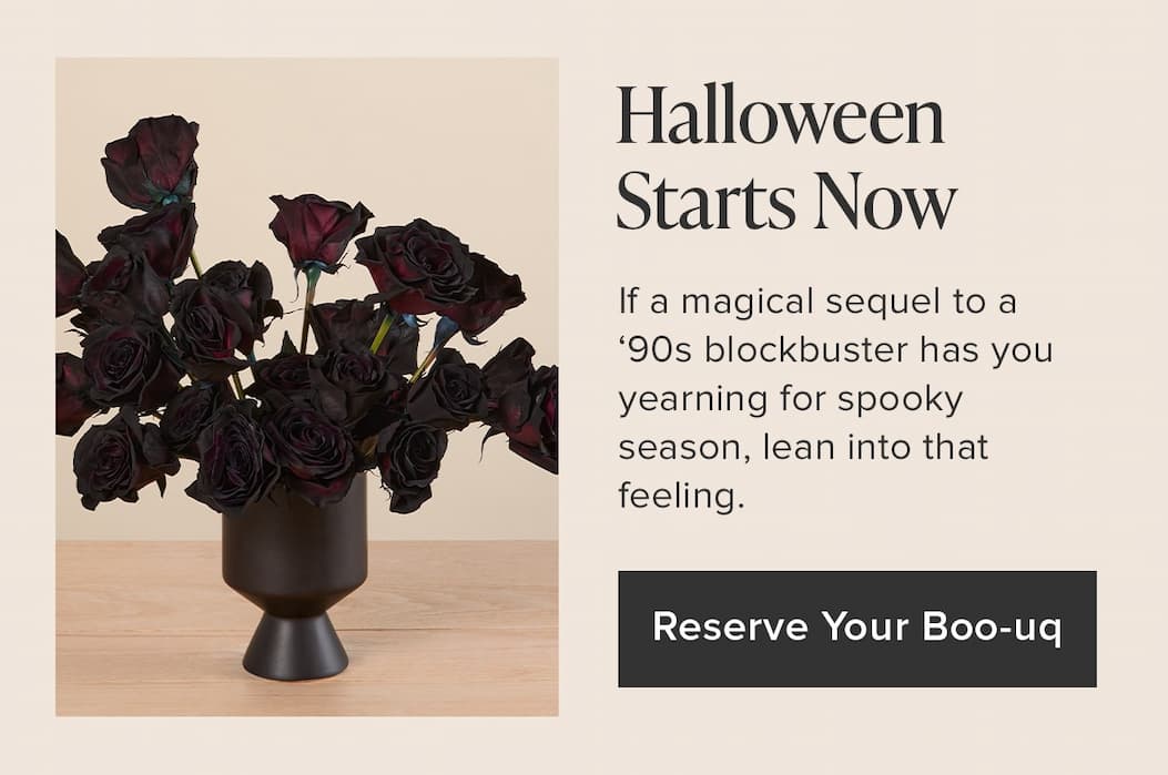 Halloween Starts Now. If a magical sequel to a '90s blockbuster has you yearning for spooky season, lean into that feeling. Reserve Your Boo-uq