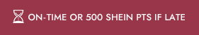 ON-TIME OR 500 SHEIN PTS IF LATE