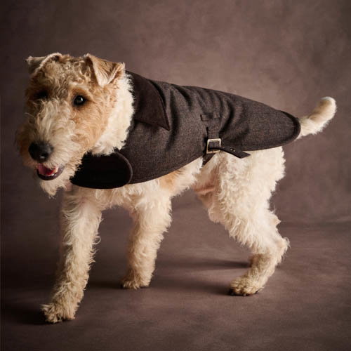 Shop Barbour Barlow Tweed Dog Coat